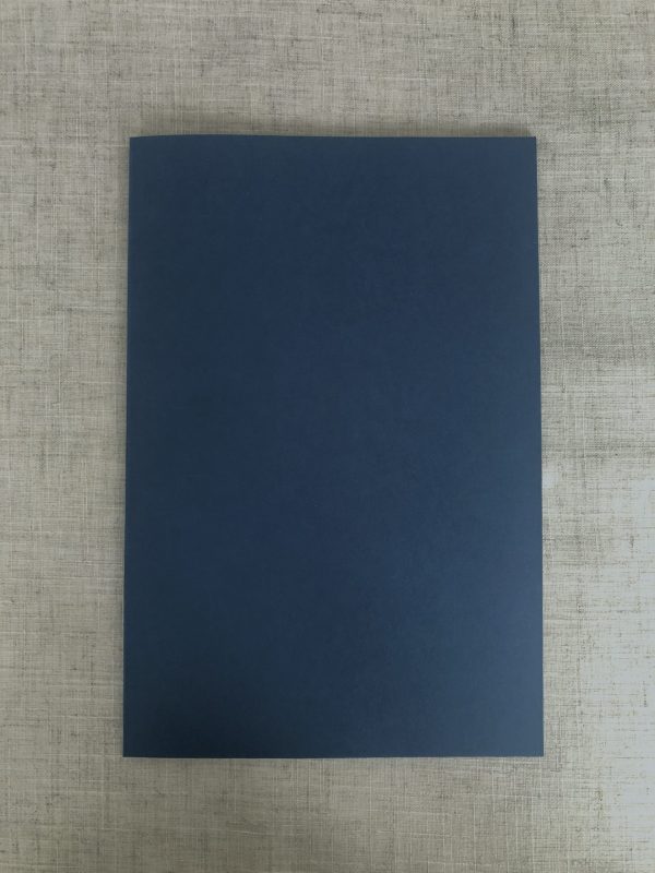 Shells of a Distant Sea – David Hayward - Image 5