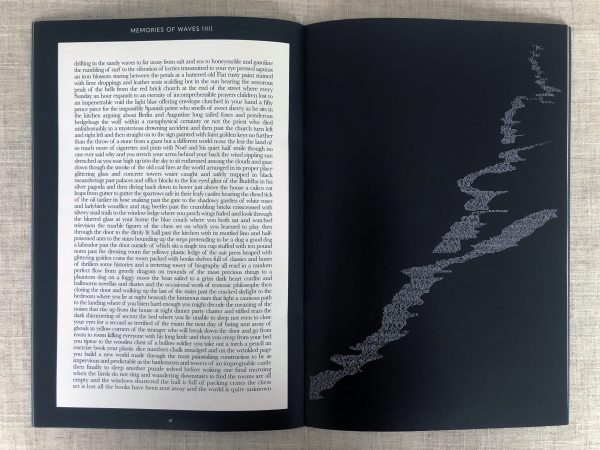 Shells of a Distant Sea – David Hayward - Image 3